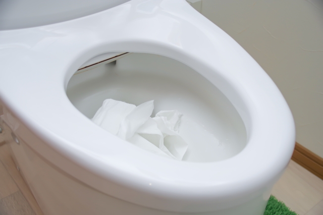 トイレットペーパーはトイレつまりでも多く見られる原因のひとつ