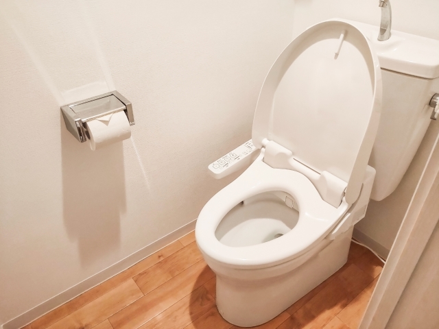 分離型トイレの見分け方