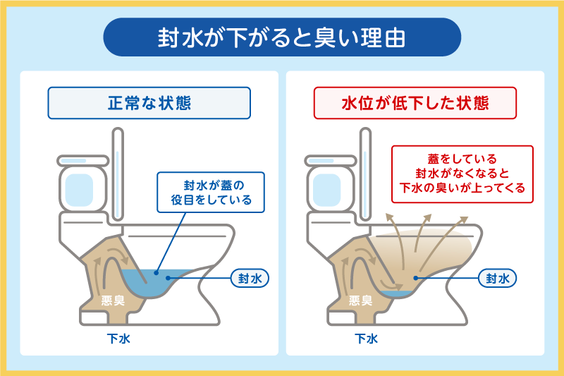 トイレの水位が低いと臭い理由