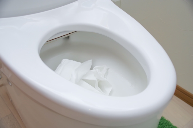 つまりを防ぐトイレクイックルの使い方