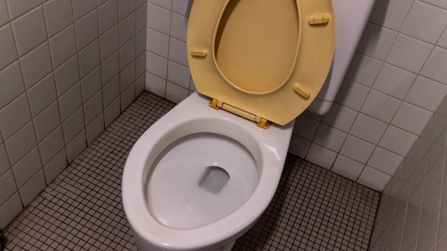 ティッシュが原因のトイレつまりNG対処法