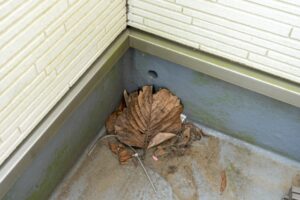 ベランダの排水溝つまりを解消できる100均グッズを紹介！原因や注意点も
