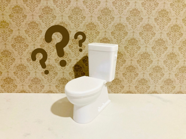 トイレがしょっちゅうつまる主な原因