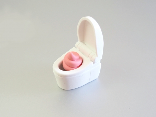 ペットのうんちをトイレに流してはいけない理由