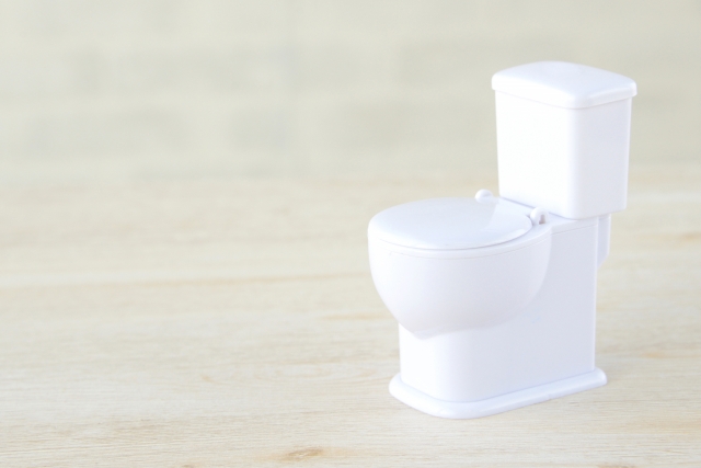 ペットのうんちでトイレがつまったときの対処法