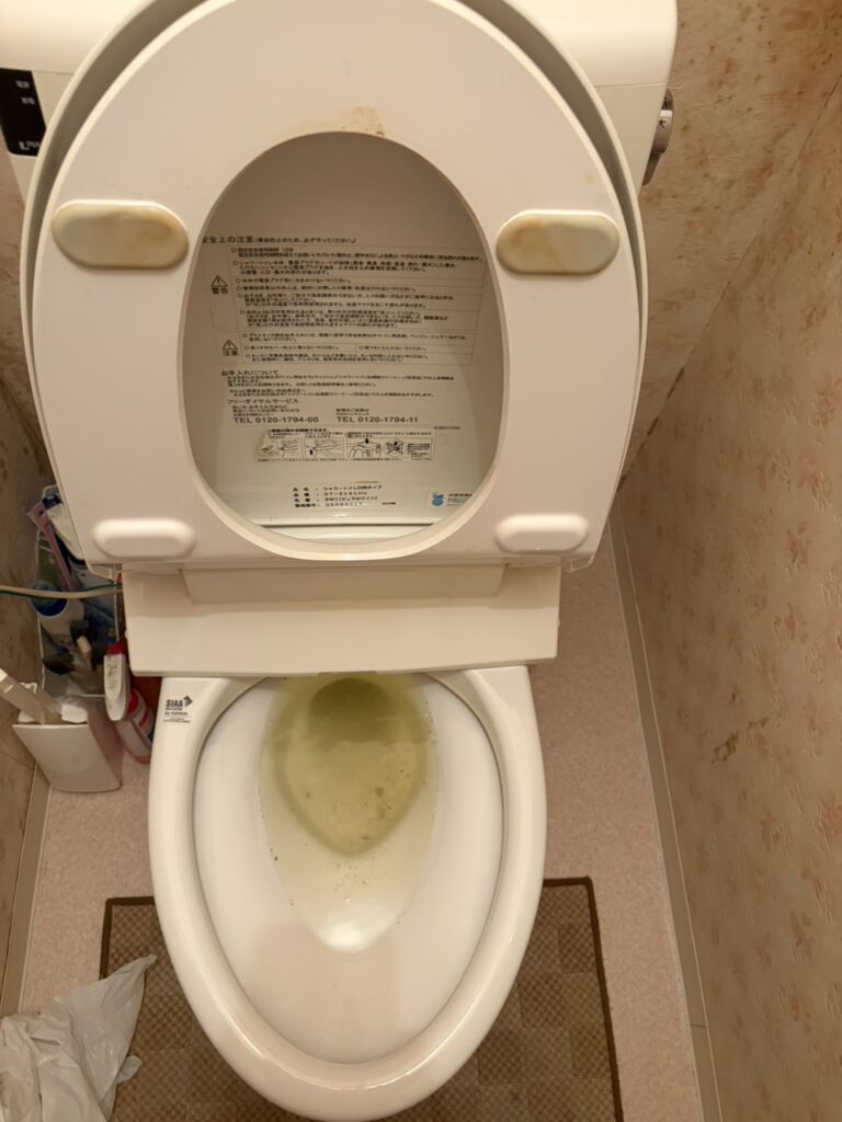 【横浜市南区】トイレのつまりをローポンプで解消